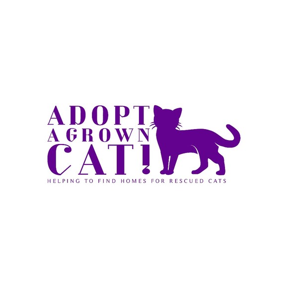 adoptagrowncat